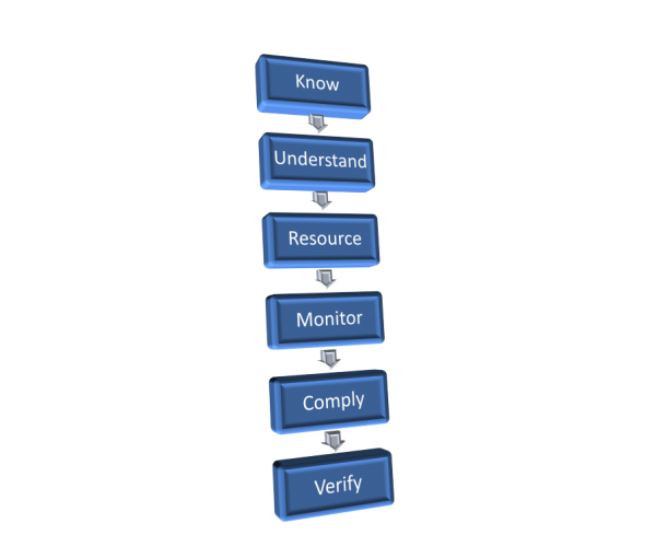 Critical Risk Management for Directors and Executives - Safety Solutions